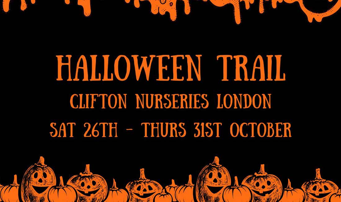 Halloween Trail at Clifton Nurseries London