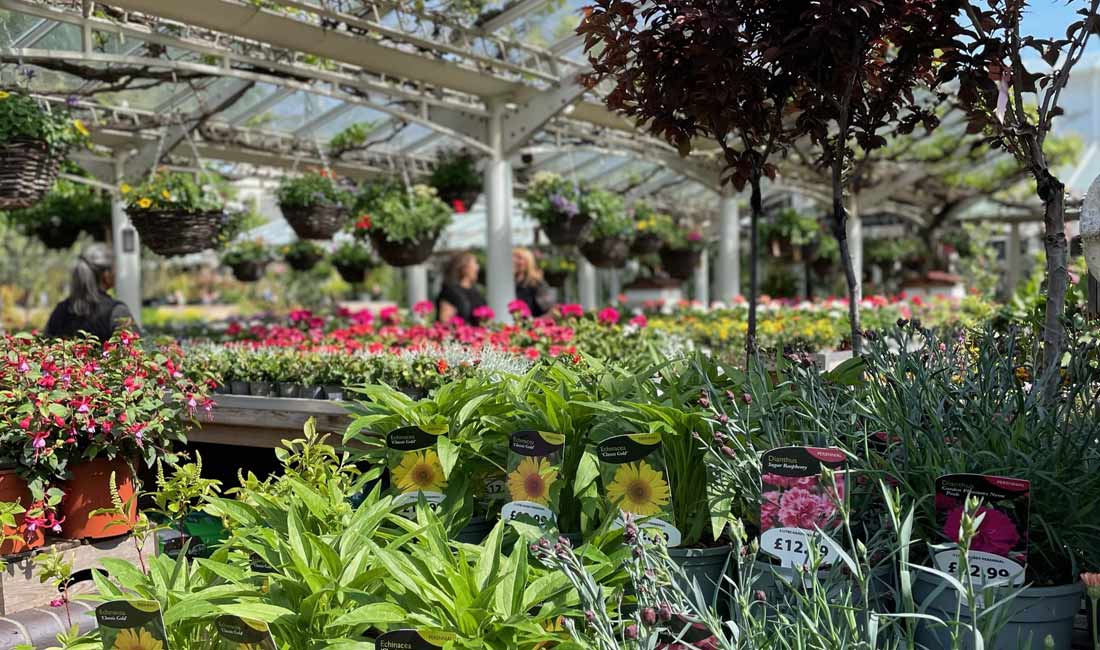 Job Vacancy - Seasonal Nursery Sales Assistants