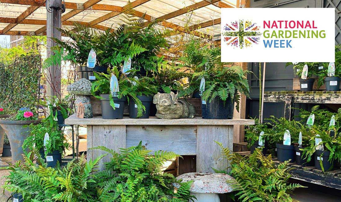 Join us in Celebrating National Gardening Week Join us in Celebrating National Gardening Week