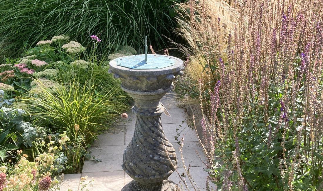 Drought Tolerant Plants Drought Tolerant Plants