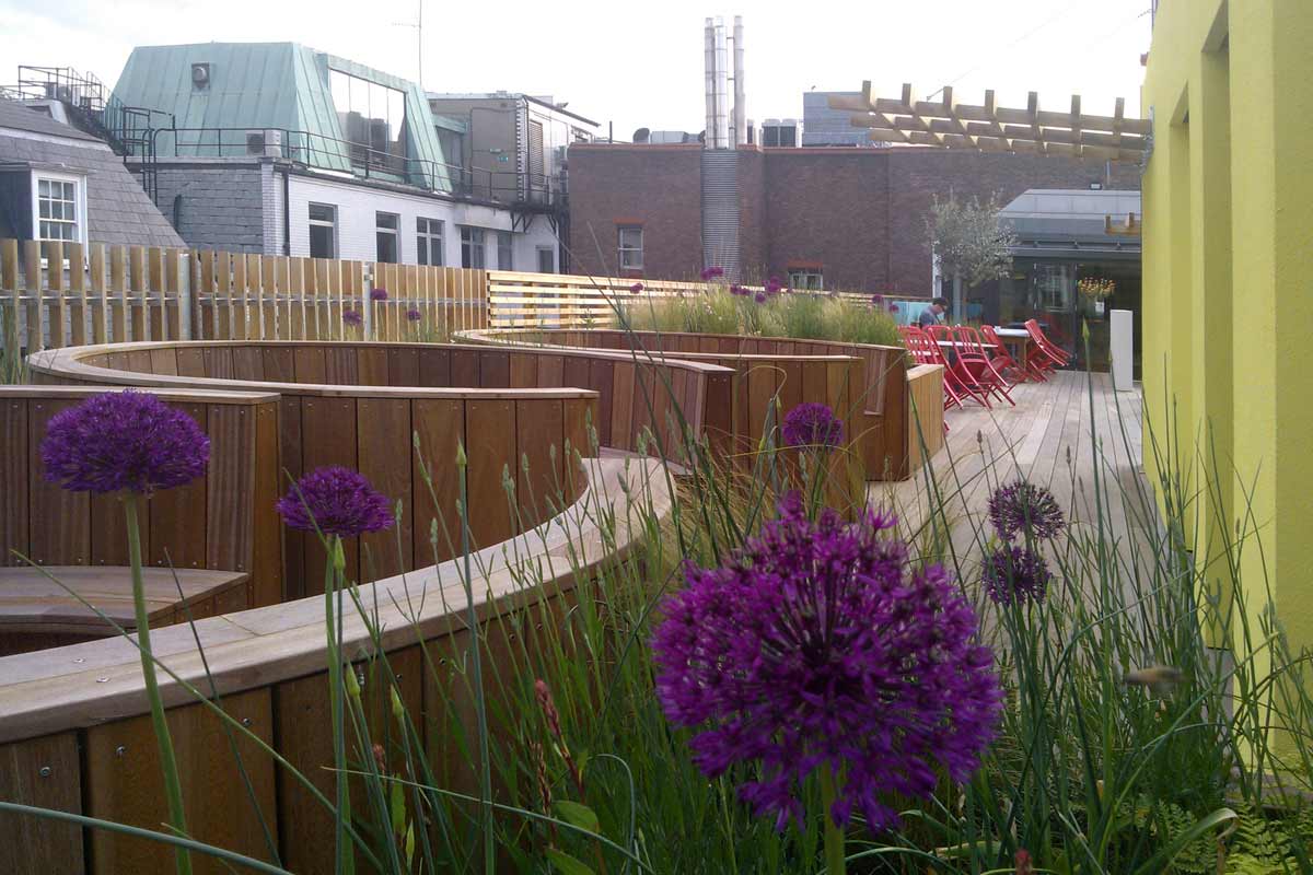 Clifton Case Study - Coca-Cola Roof Garden