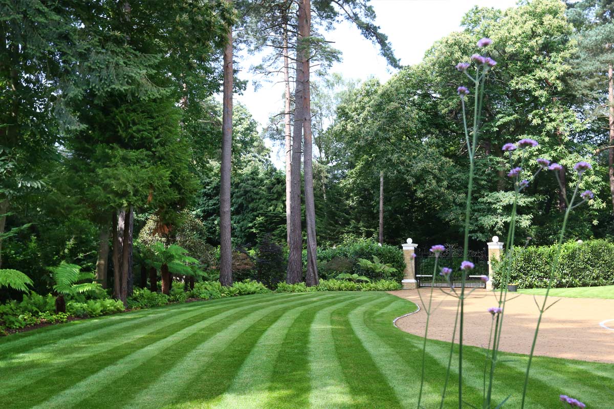 Clifton Case Study - Surrey Country Garden