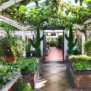 Clifton London Nursery