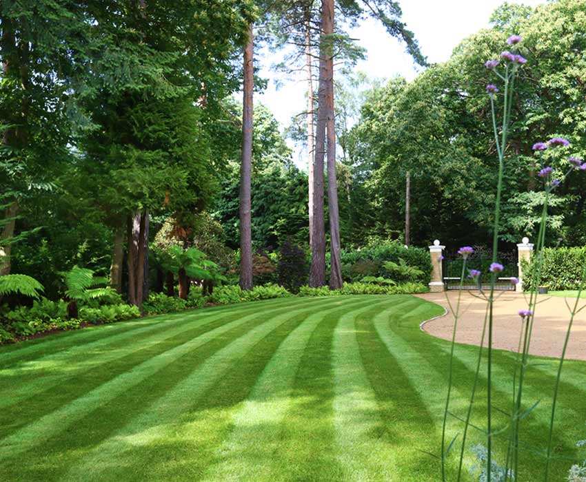 Clifton Nurseries Garden Maintenance Services