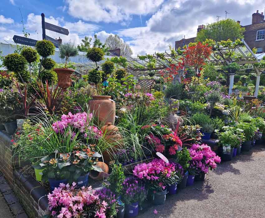 Clifton London Nursery