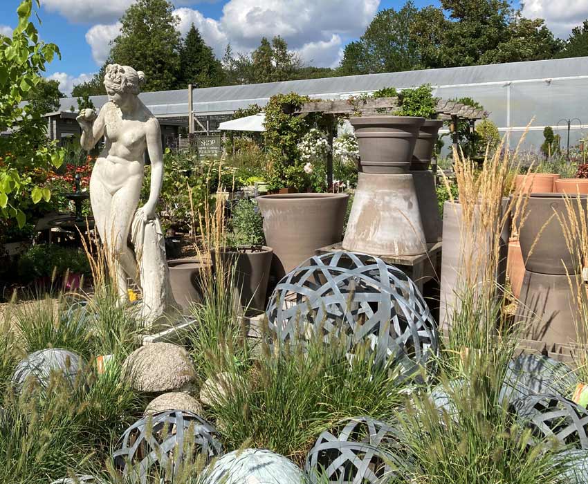 Clifton Nurseries Surrey