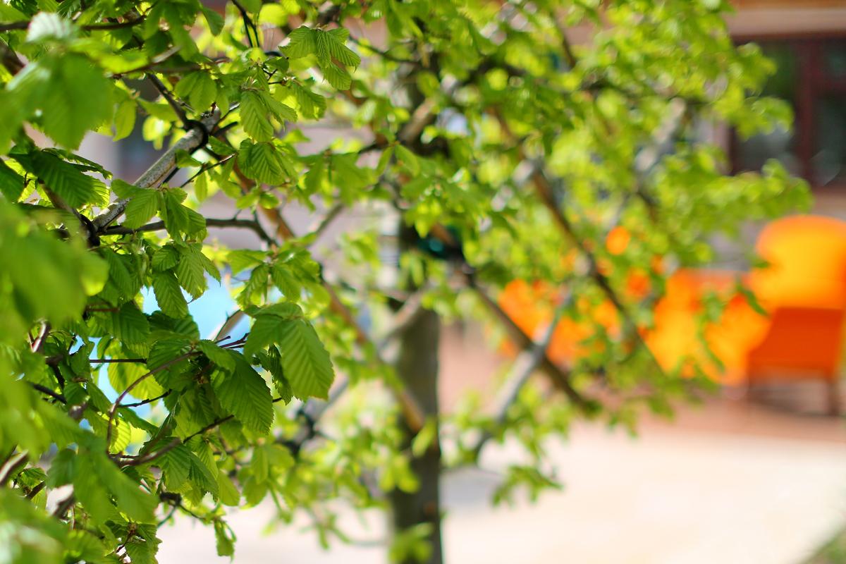 Orange and Green