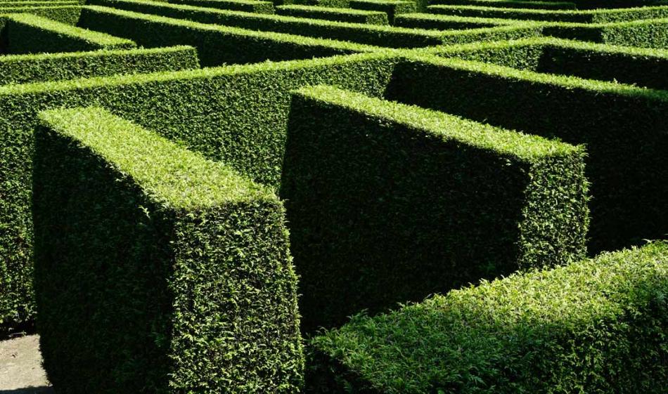 All about Hedges