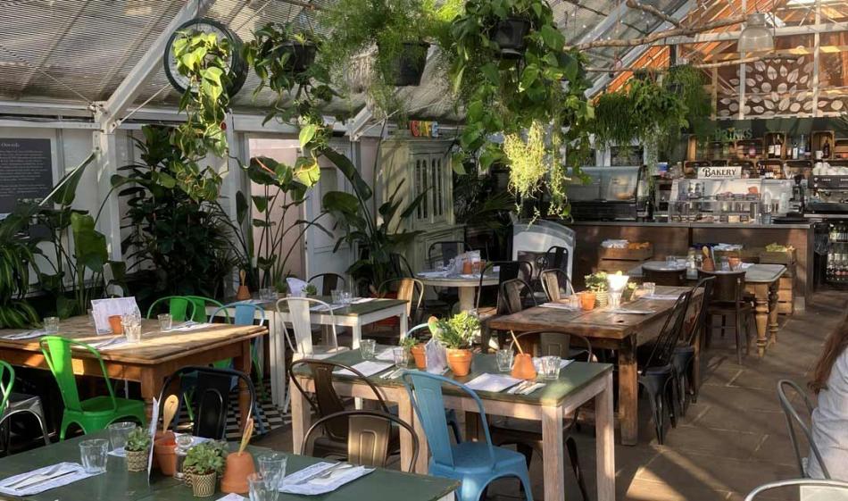 Job Vacancy – Head Chef, The Café Clifton Nurseries London